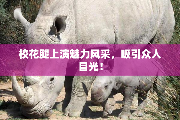 校花腿上演魅力风采，吸引众人目光！