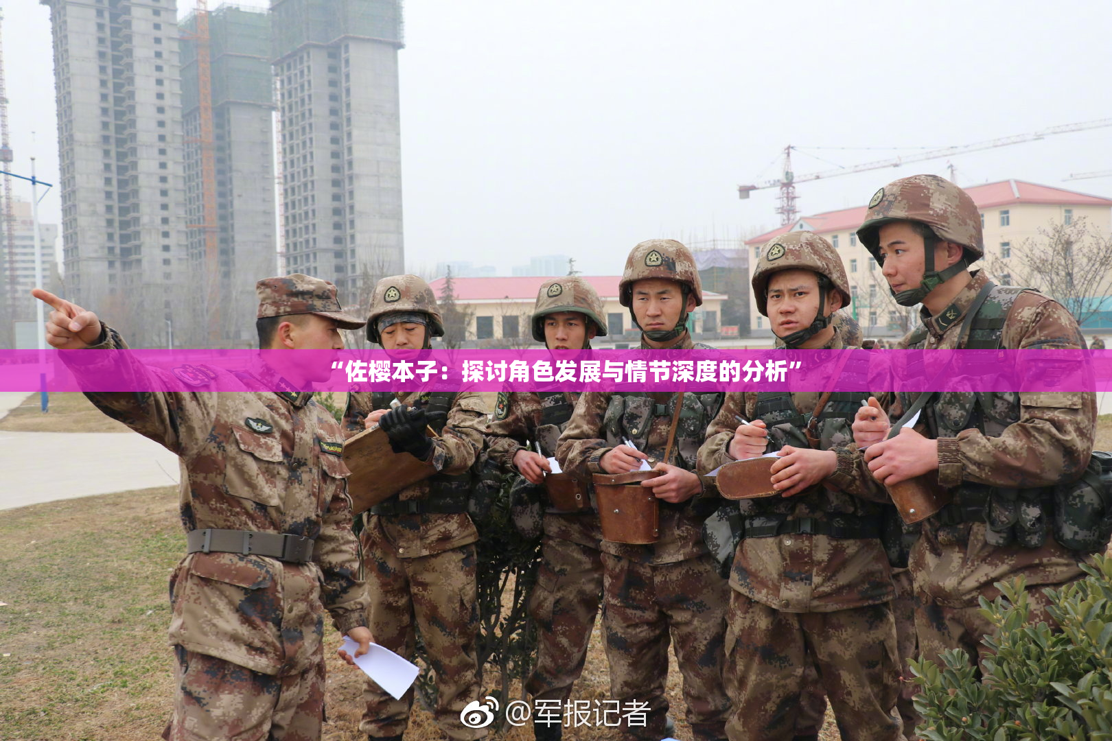 “佐樱本子：探讨角色发展与情节深度的分析”