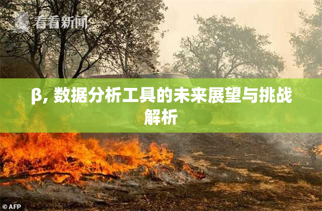 β, 数据分析工具的未来展望与挑战解析