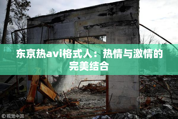东京热avi格式人：热情与激情的完美结合