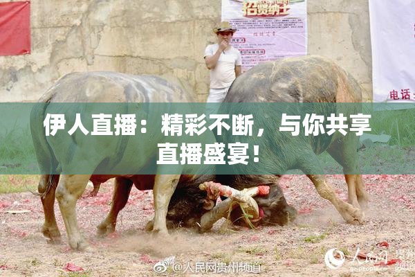 伊人直播：精彩不断，与你共享直播盛宴！