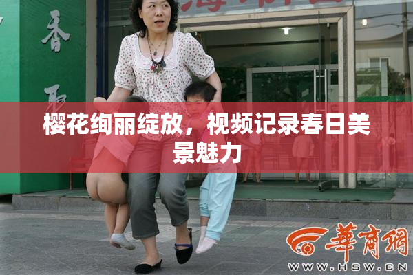 樱花绚丽绽放，视频记录春日美景魅力