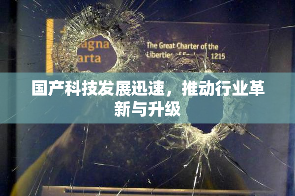 国产科技发展迅速，推动行业革新与升级