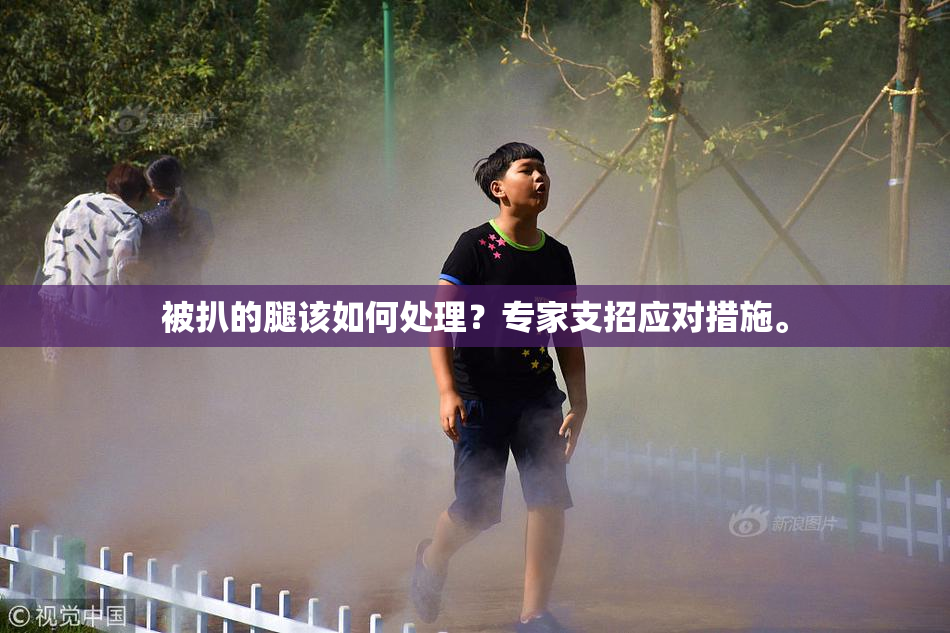 被扒的腿该如何处理？专家支招应对措施。