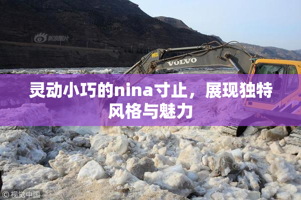 灵动小巧的nina寸止，展现独特风格与魅力