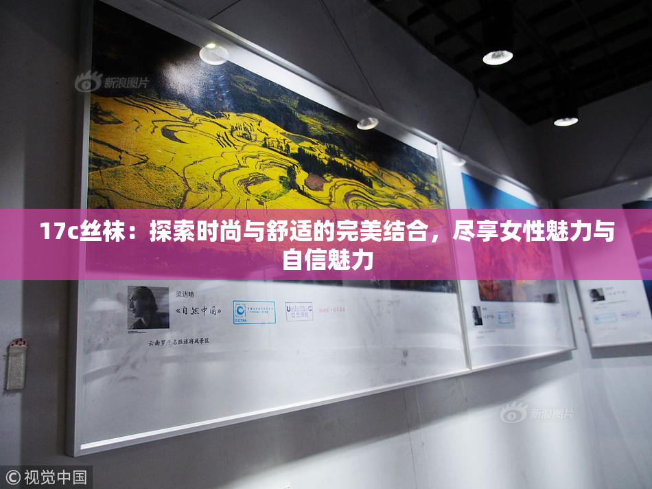 17c丝袜：探索时尚与舒适的完美结合，尽享女性魅力与自信魅力