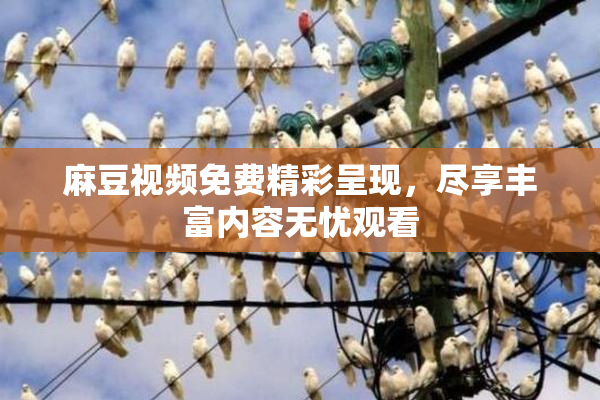 麻豆视频免费精彩呈现，尽享丰富内容无忧观看