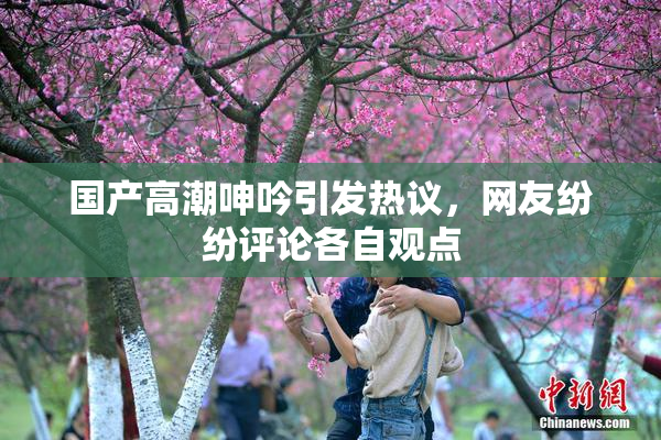 国产高潮呻吟引发热议，网友纷纷评论各自观点