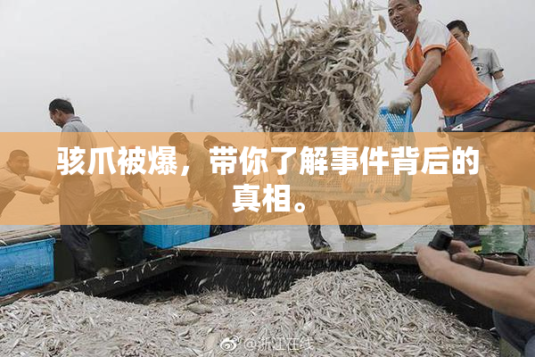 骇爪被爆，带你了解事件背后的真相。