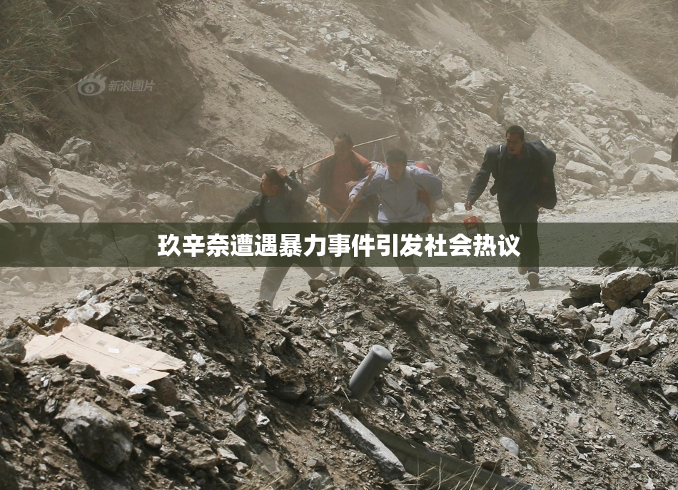 玖辛奈遭遇暴力事件引发社会热议