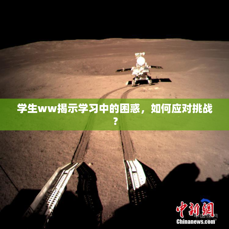 学生ww揭示学习中的困惑，如何应对挑战？