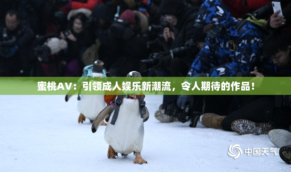 蜜桃AV：引领成人娱乐新潮流，令人期待的作品！