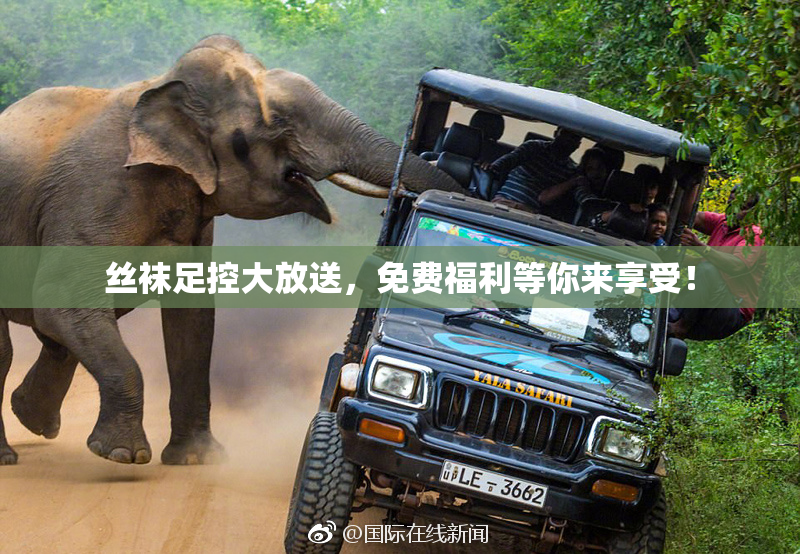 丝袜足控大放送，免费福利等你来享受！