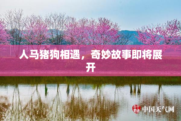 人马猪狗相遇，奇妙故事即将展开