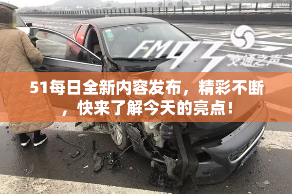 51每日全新内容发布，精彩不断，快来了解今天的亮点！