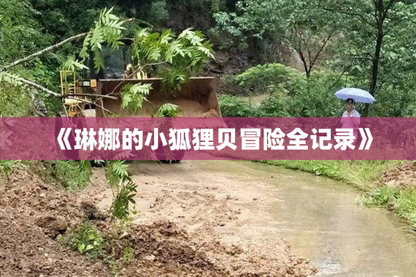 《琳娜的小狐狸贝冒险全记录》