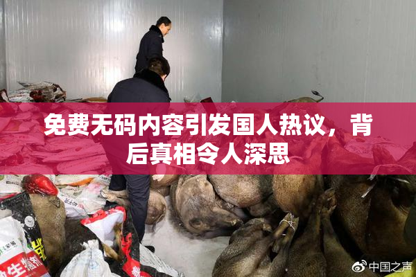 免费无码内容引发国人热议，背后真相令人深思