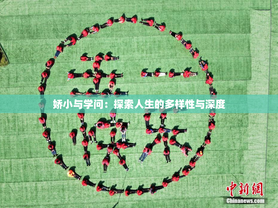 娇小与学问：探索人生的多样性与深度