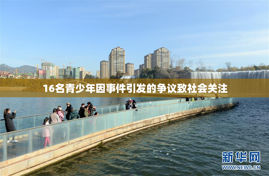 16名青少年因事件引发的争议致社会关注
