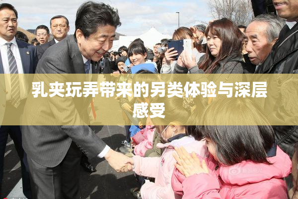 乳夹玩弄带来的另类体验与深层感受