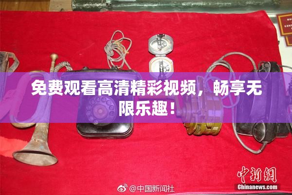 免费观看高清精彩视频，畅享无限乐趣！