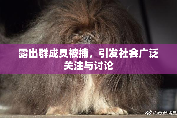 露出群成员被捕，引发社会广泛关注与讨论