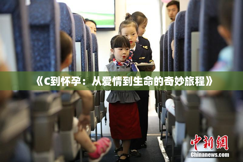 《C到怀孕：从爱情到生命的奇妙旅程》