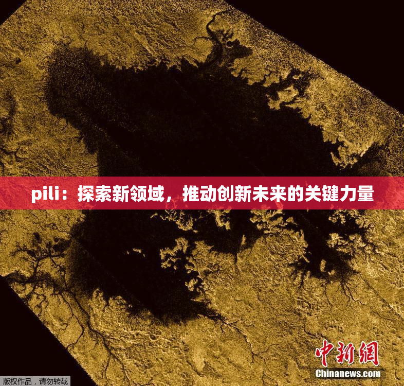 pili：探索新领域，推动创新未来的关键力量