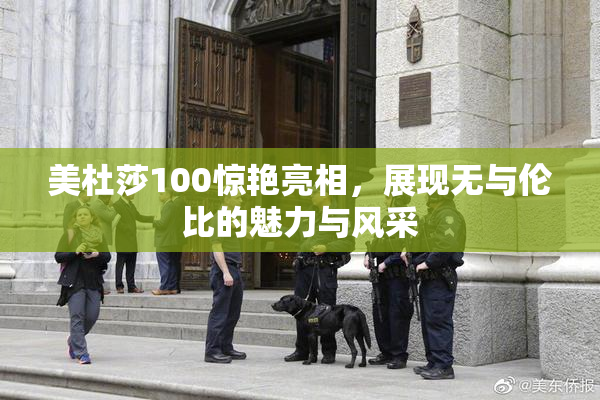 美杜莎100惊艳亮相，展现无与伦比的魅力与风采