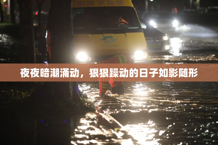 夜夜暗潮涌动，狠狠躁动的日子如影随形