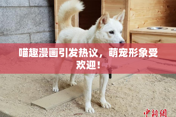喵趣漫画引发热议，萌宠形象受欢迎！
