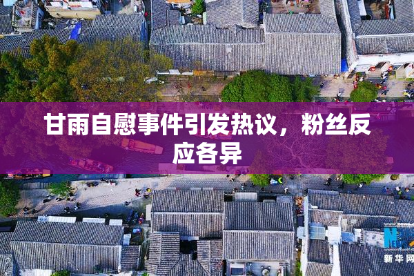 甘雨自慰事件引发热议，粉丝反应各异