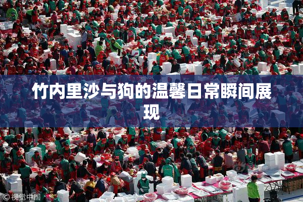 竹内里沙与狗的温馨日常瞬间展现