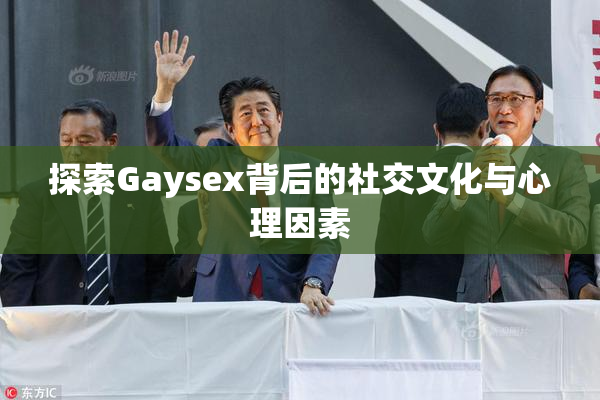 探索Gaysex背后的社交文化与心理因素