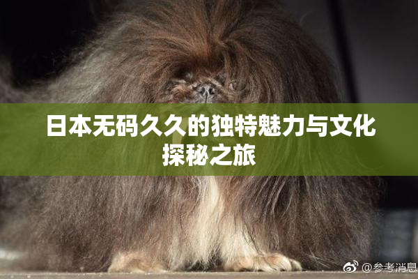 日本无码久久的独特魅力与文化探秘之旅