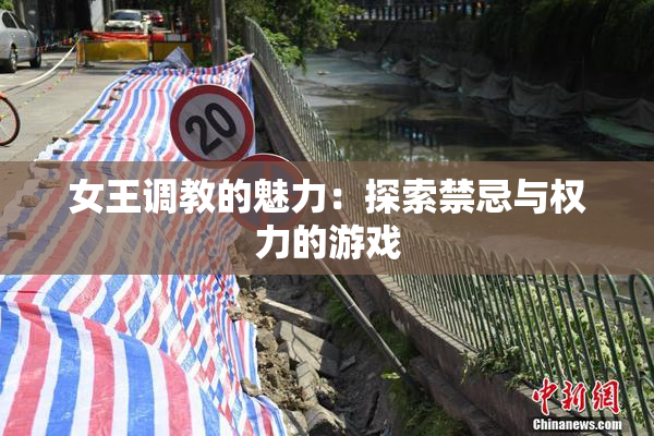 女王调教的魅力：探索禁忌与权力的游戏