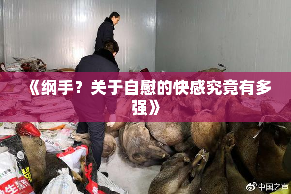 《纲手？关于自慰的快感究竟有多强》
