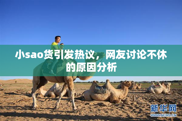 小sao货引发热议，网友讨论不休的原因分析