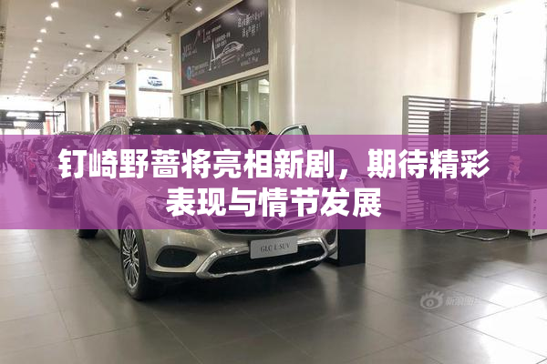 钉崎野蔷将亮相新剧，期待精彩表现与情节发展