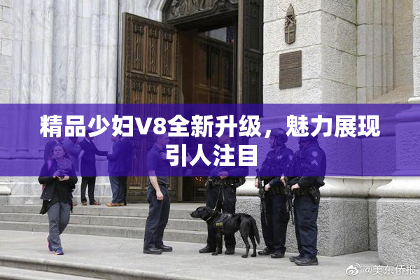 精品少妇V8全新升级，魅力展现引人注目