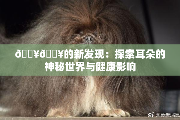 🔥🔥的新发现：探索耳朵的神秘世界与健康影响