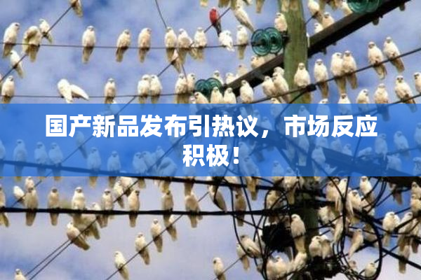 国产新品发布引热议，市场反应积极！