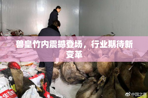 兽皇竹内震撼登场，行业期待新变革