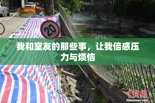 我和室友的那些事，让我倍感压力与烦恼