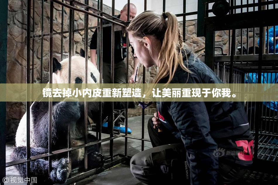镜去掉小内皮重新塑造，让美丽重现于你我。