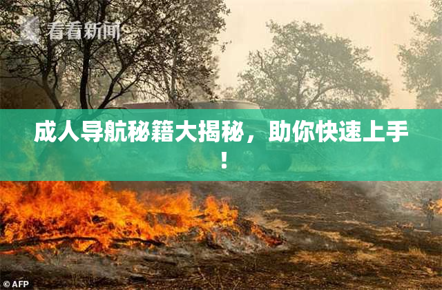 成人导航秘籍大揭秘，助你快速上手！
