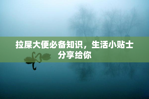 拉屎大便必备知识，生活小贴士分享给你
