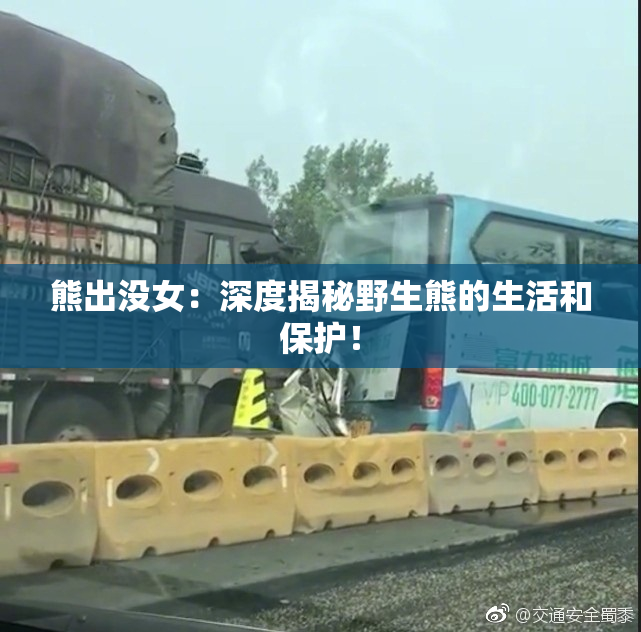 熊出没女：深度揭秘野生熊的生活和保护！