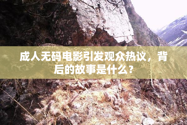 成人无码电影引发观众热议，背后的故事是什么？