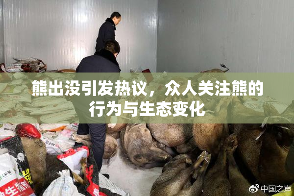 熊出没引发热议，众人关注熊的行为与生态变化